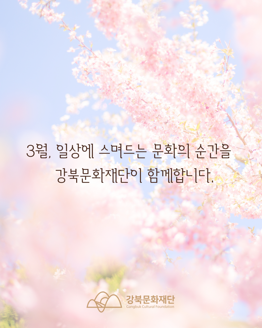 이미지 설명을 입력해주세요.