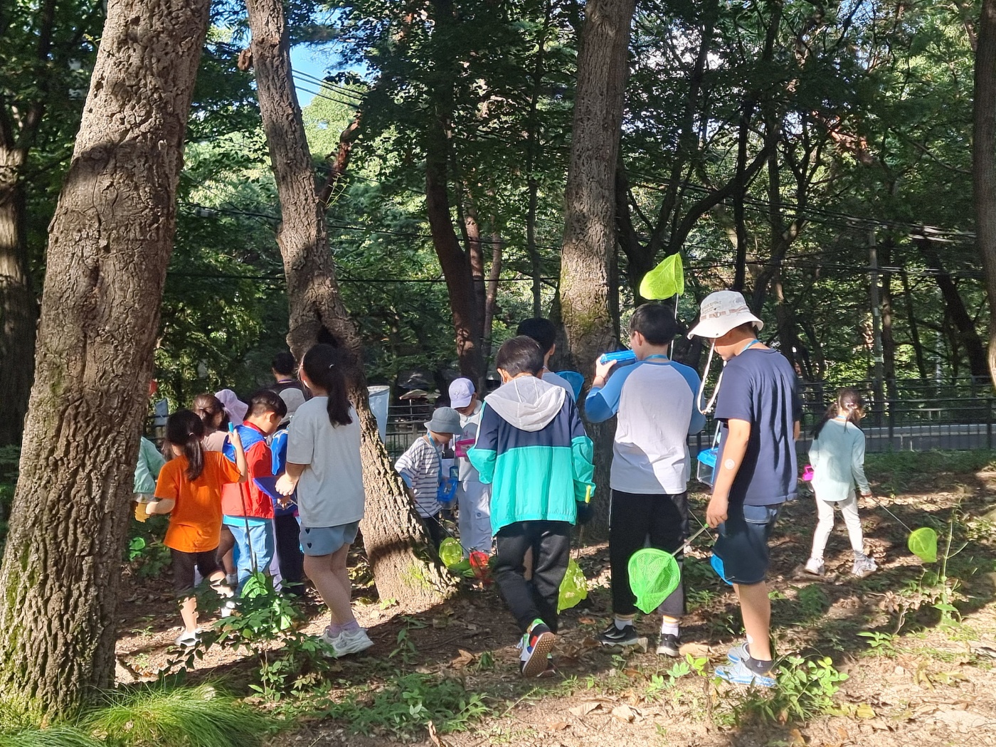 2024 어린이문화예술프로그램 <강북 파브르>