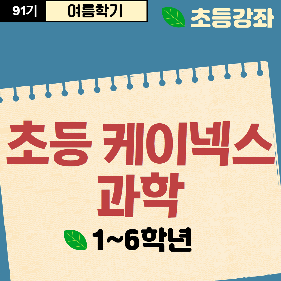 [91기] 초등 케이넥스 과학