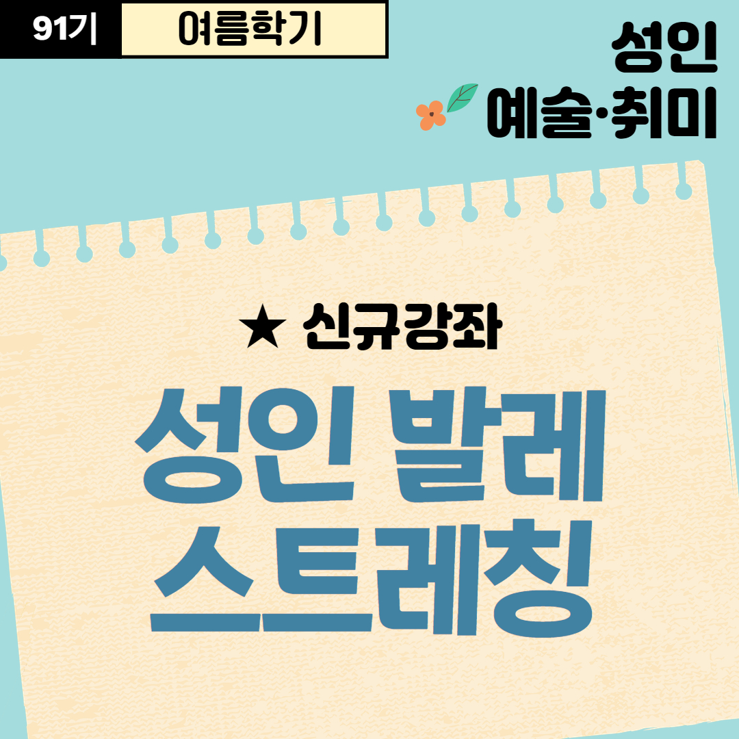 [91기] 성인 발레 스트레칭
