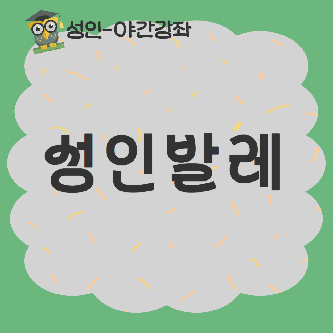 [93기] 성인발레