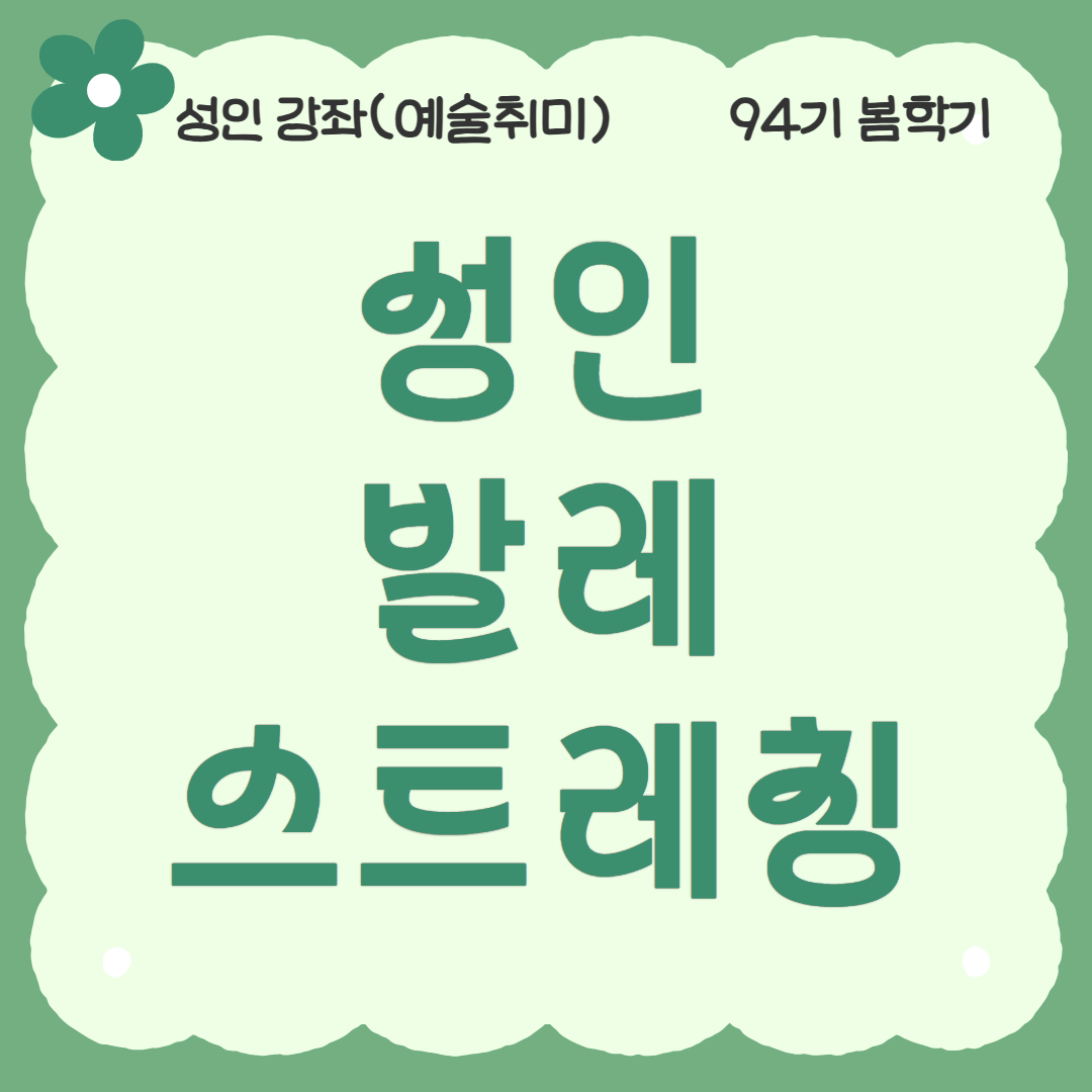 [94기] 성인 발레스트레칭