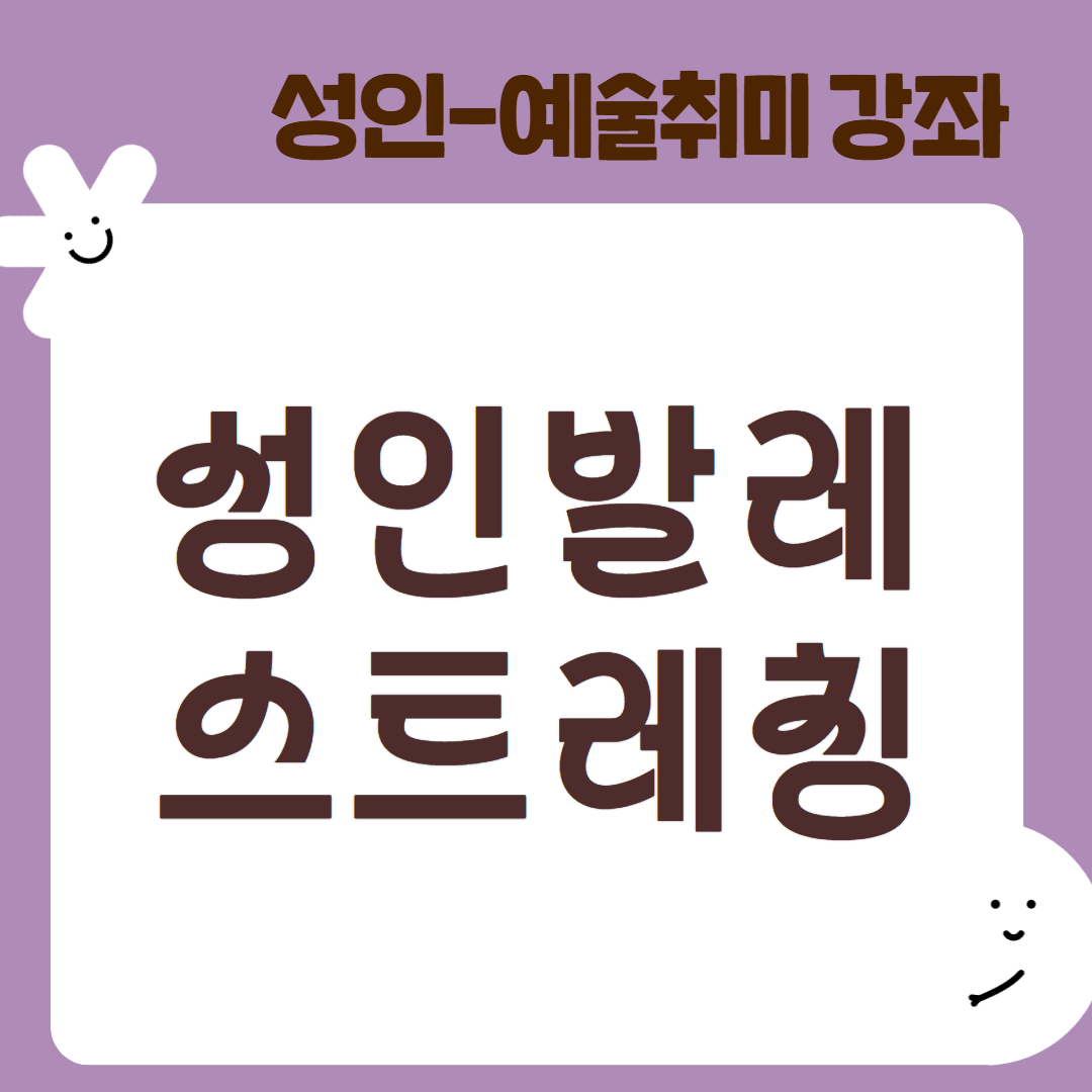 [95기] 성인 발레스트레칭