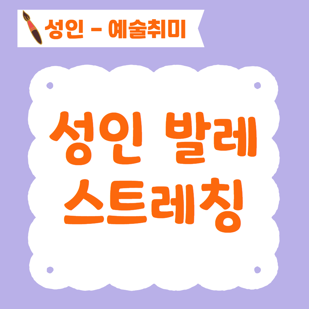 [96기] 성인 발레스트레칭