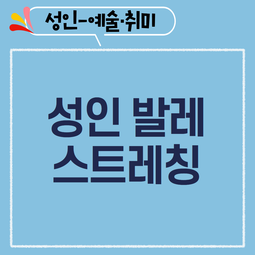 [97기] 성인 발레스트레칭