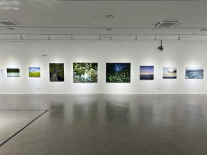 2025 강북 Festa 2부 <회색과 초록사이>- 꽃말림