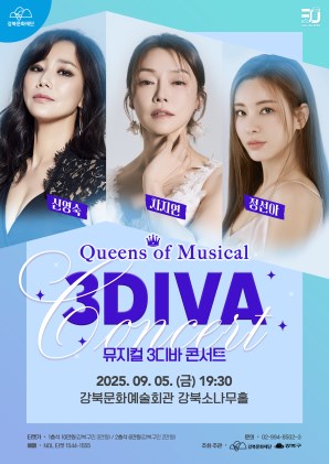 뮤지컬 3DIVA 콘서트